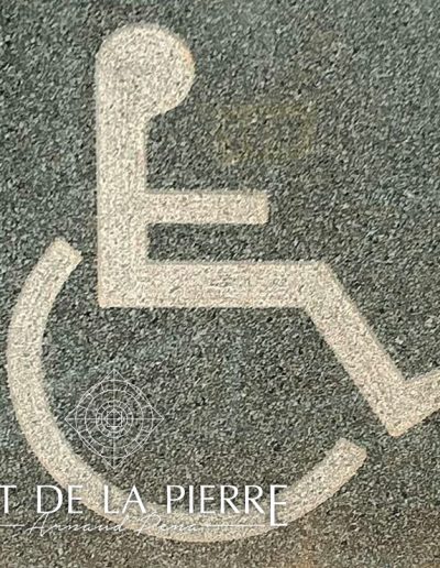 logo handicapes
